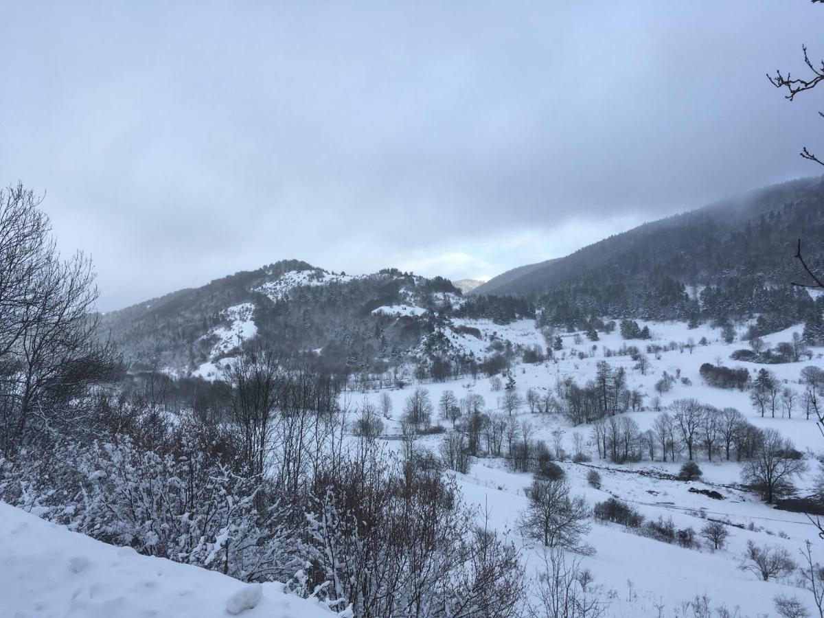 Entre L'Eglise Et La Place Villa Quillan Eksteriør bilde